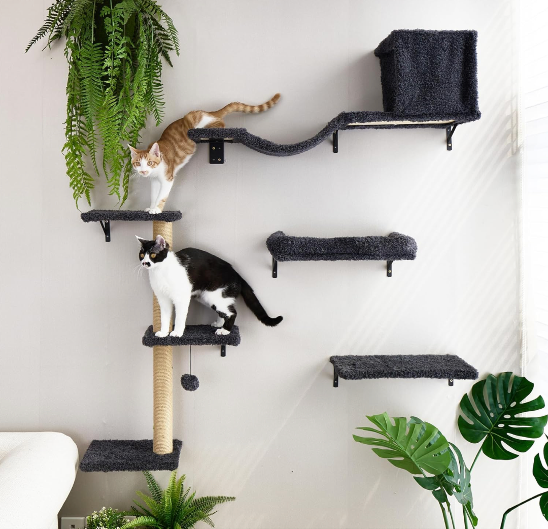 4 in 1 Large Cat Walls Furniture Set